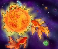 Star Fish